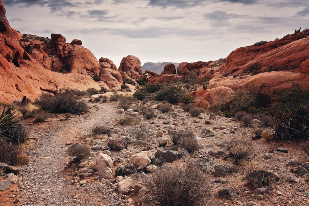nevada2